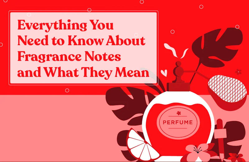 Everything You Need to Know About Fragrance Notes and What They Mean