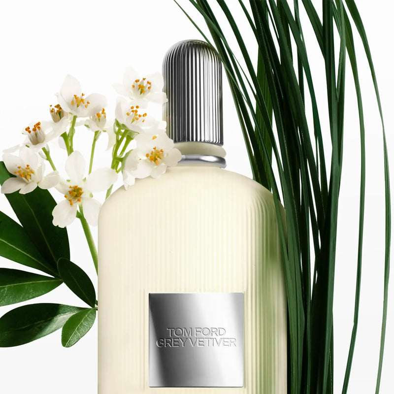 What is Vetiver Scent?