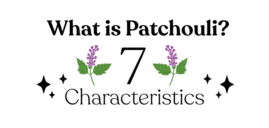 What is Patchouli? 7 Characteristics