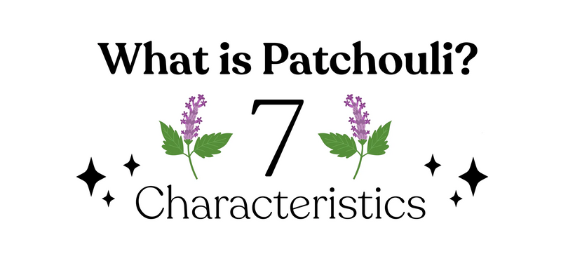 What is Patchouli? 7 Characteristics