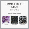 Jimmy Choo Man Intense 6.8 oz EDT for men