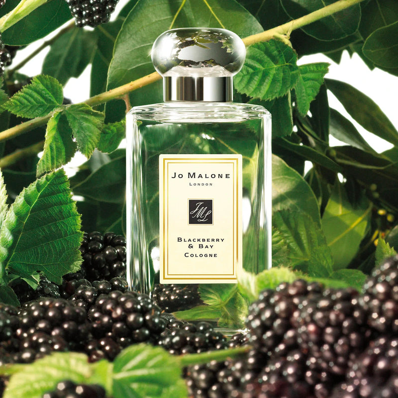 Jo Malone Blackberry & Bay Cologne 3.4 oz Unisex Jo Malone Blackberry & Bay Cologne 3.4 oz Unisex