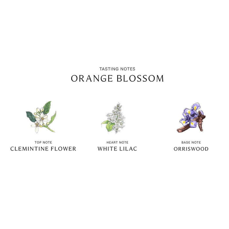 Orange Blossom 3.4 oz Unisex