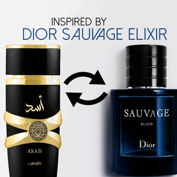 Asad EDP Men 2