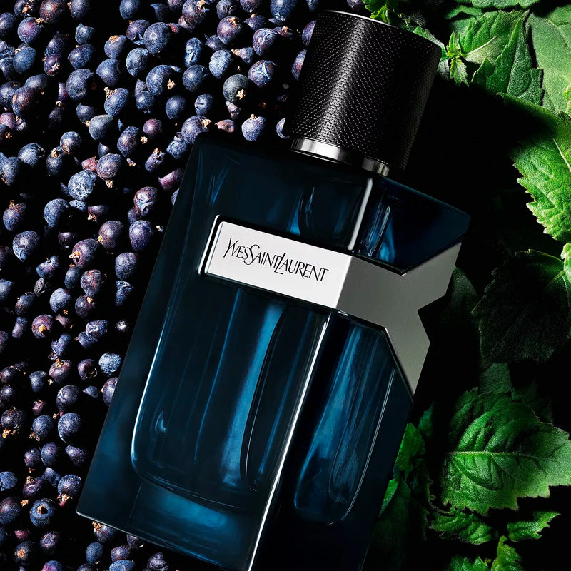 Y By YSL 3.4 oz EDP for men – LaBellePerfumes Y By YSL 3.4 oz EDP for men – LaBellePerfumes