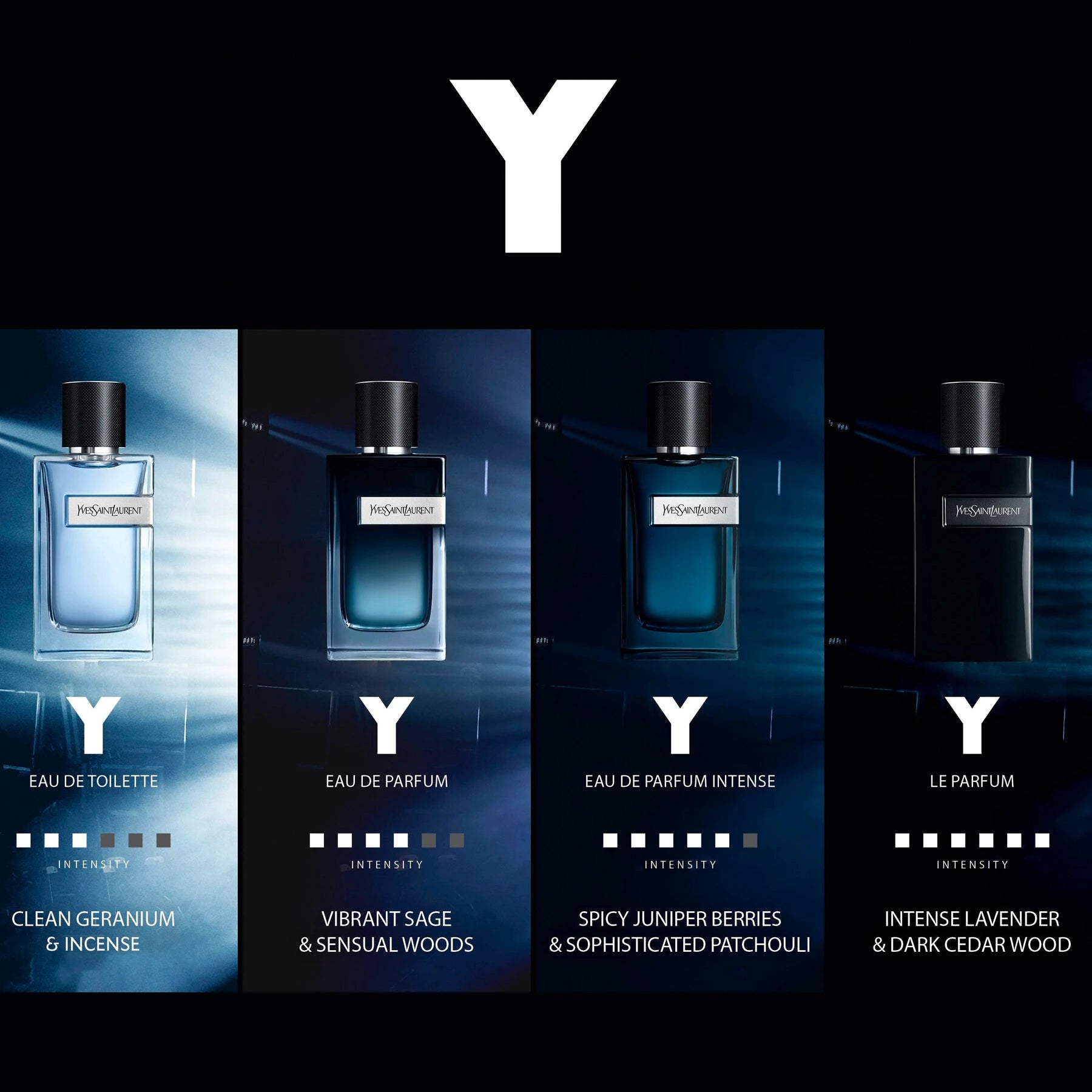 Y Intense 3.4 oz EDP para hombres – LaBellePerfumes