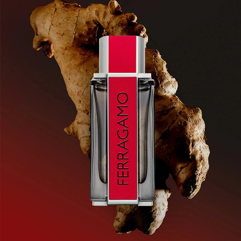 Ferragamo Red Leather 3.4 oz EDP for men – LaBellePerfumes Ferragamo Red Leather 3.4 oz EDP for men – LaBellePerfumes