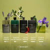 Gucci Guilty Essence 3.0 oz EDT for men