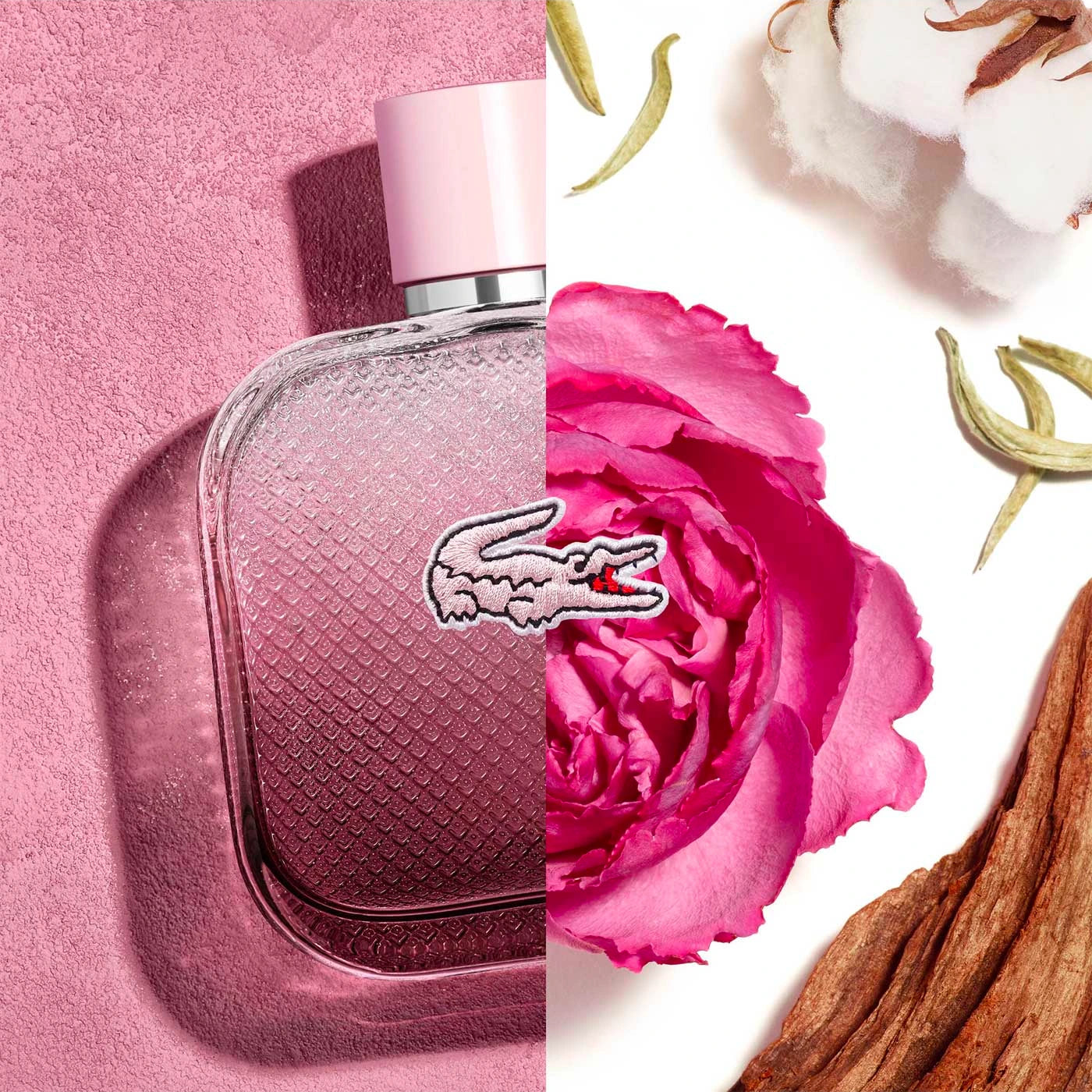 Lacoste rose parfum deals