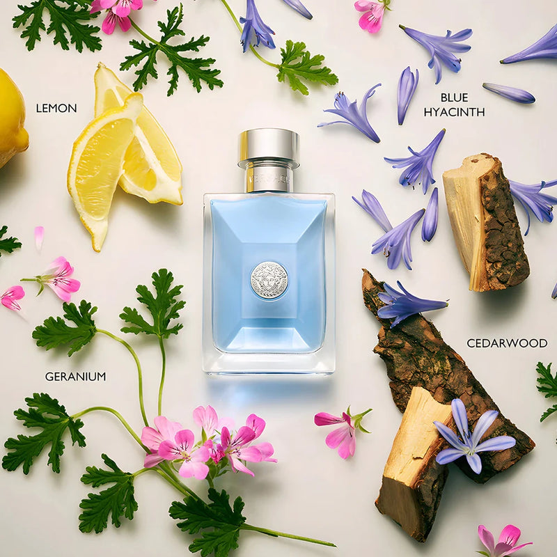 Versace Pour Homme 3.4 oz EDT for men – LaBellePerfumes