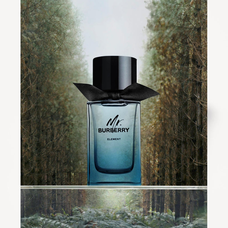 Mr burberry perfume 2024 review