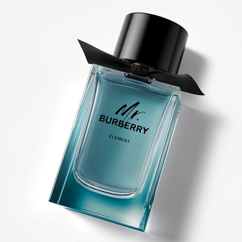 Burberry mr burberry clearance element eau de toilette